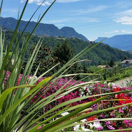 Pension Weinberg Ріф'яно Екстер'єр фото